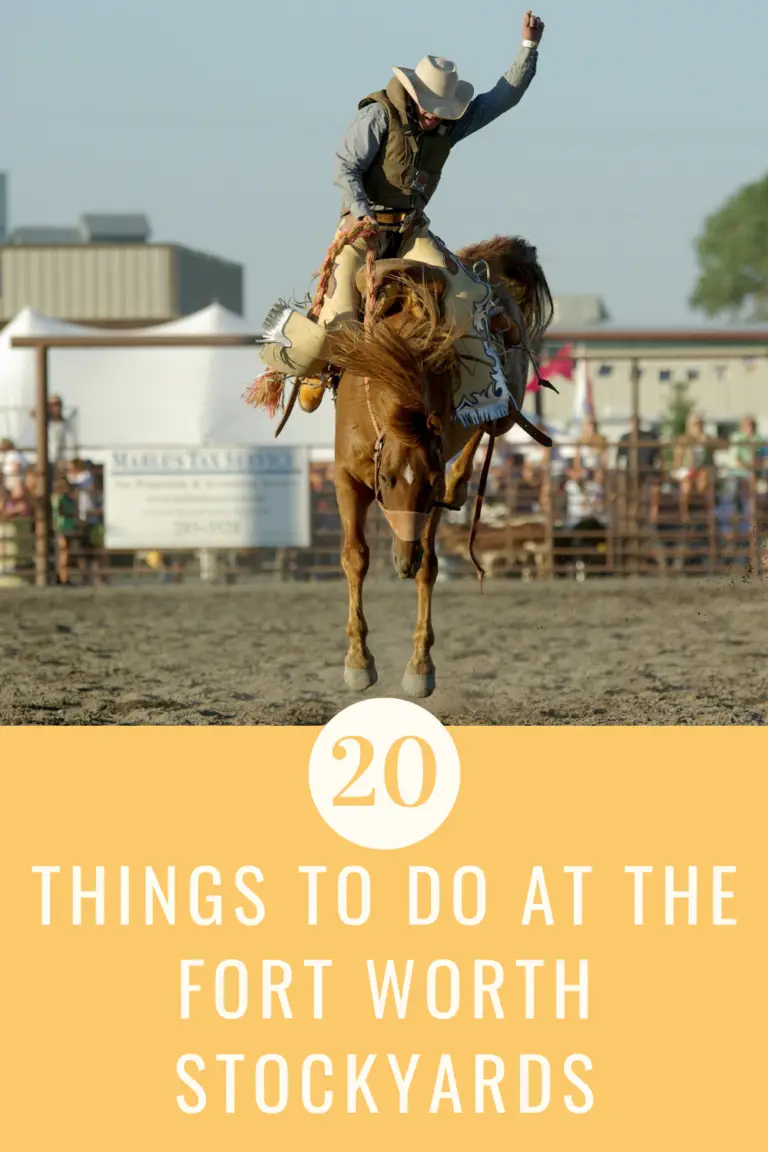 Top 20 Things To Do At The Fort Worth Stockyards in Fort Worth, Texas ...