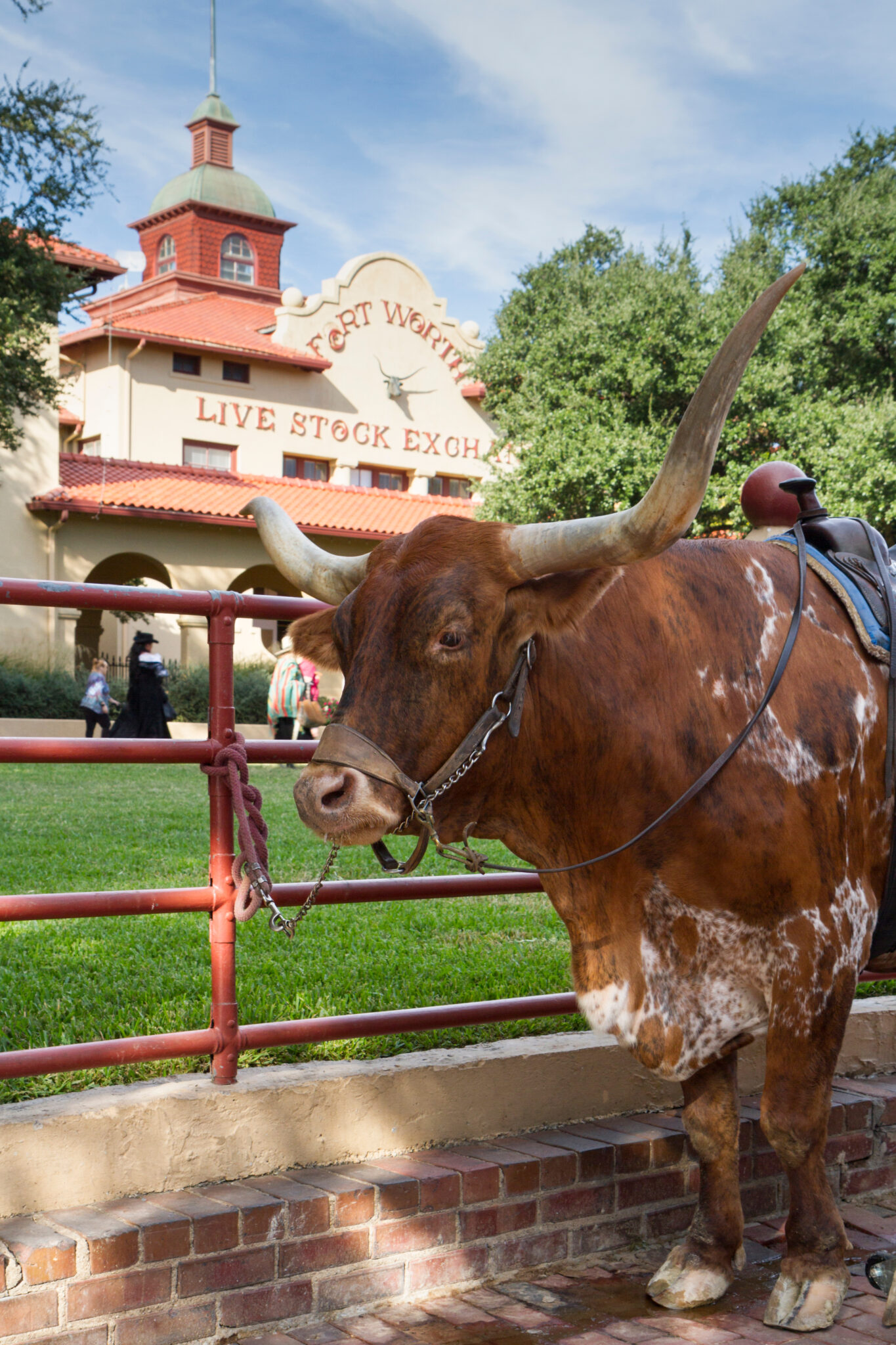 Top 20 Things To Do At The Fort Worth Stockyards in Fort Worth, Texas