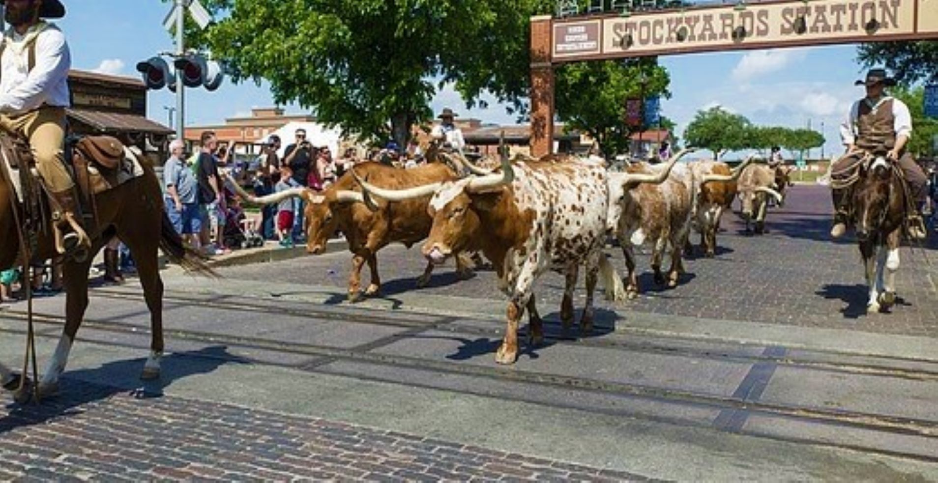 Top 20 Things To Do At The Fort Worth Stockyards In Fort Worth Texas Sunshine And Vine