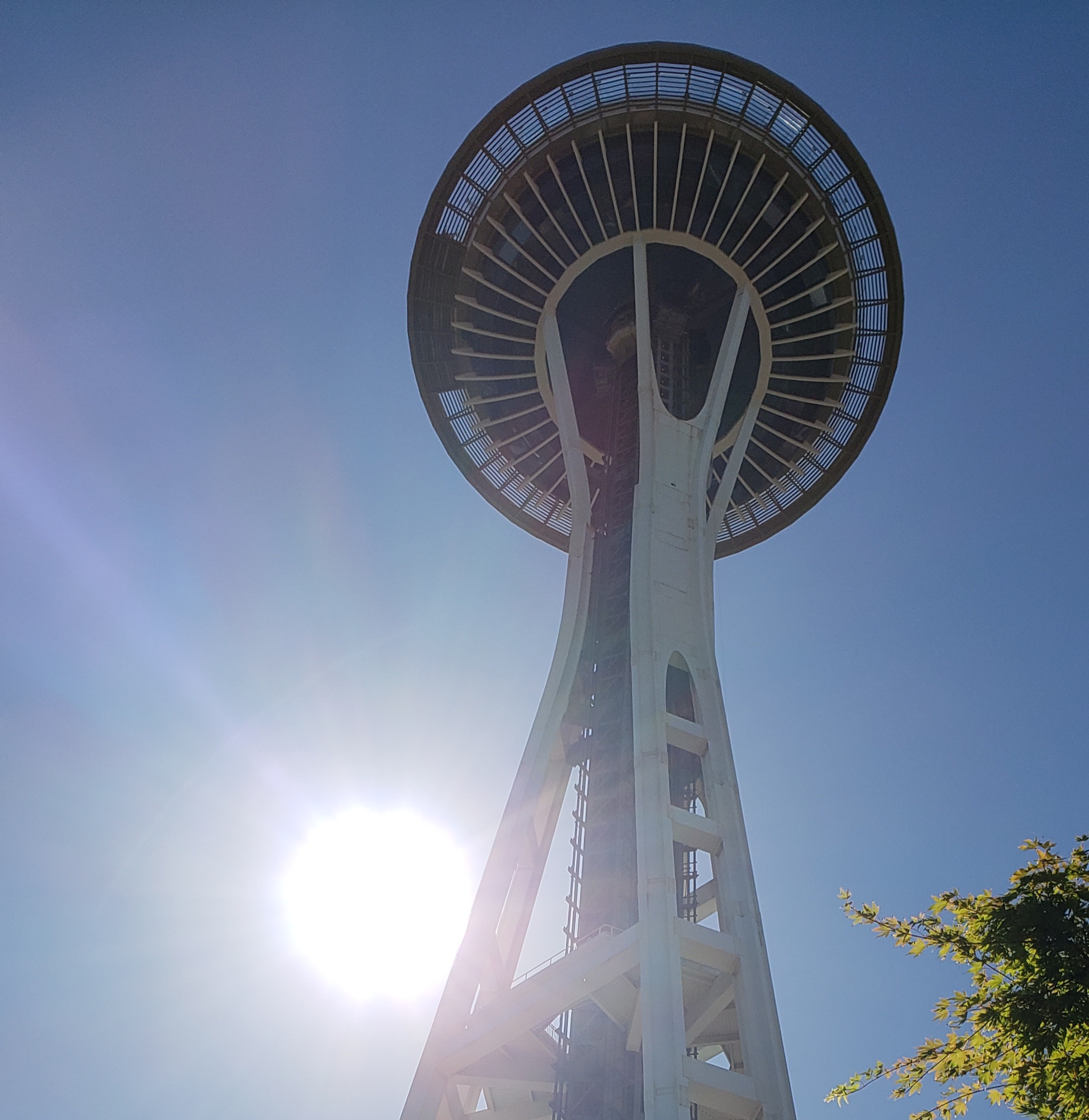 Top 20 Things To Do in Seattle, Washington - Sunshine and Vine